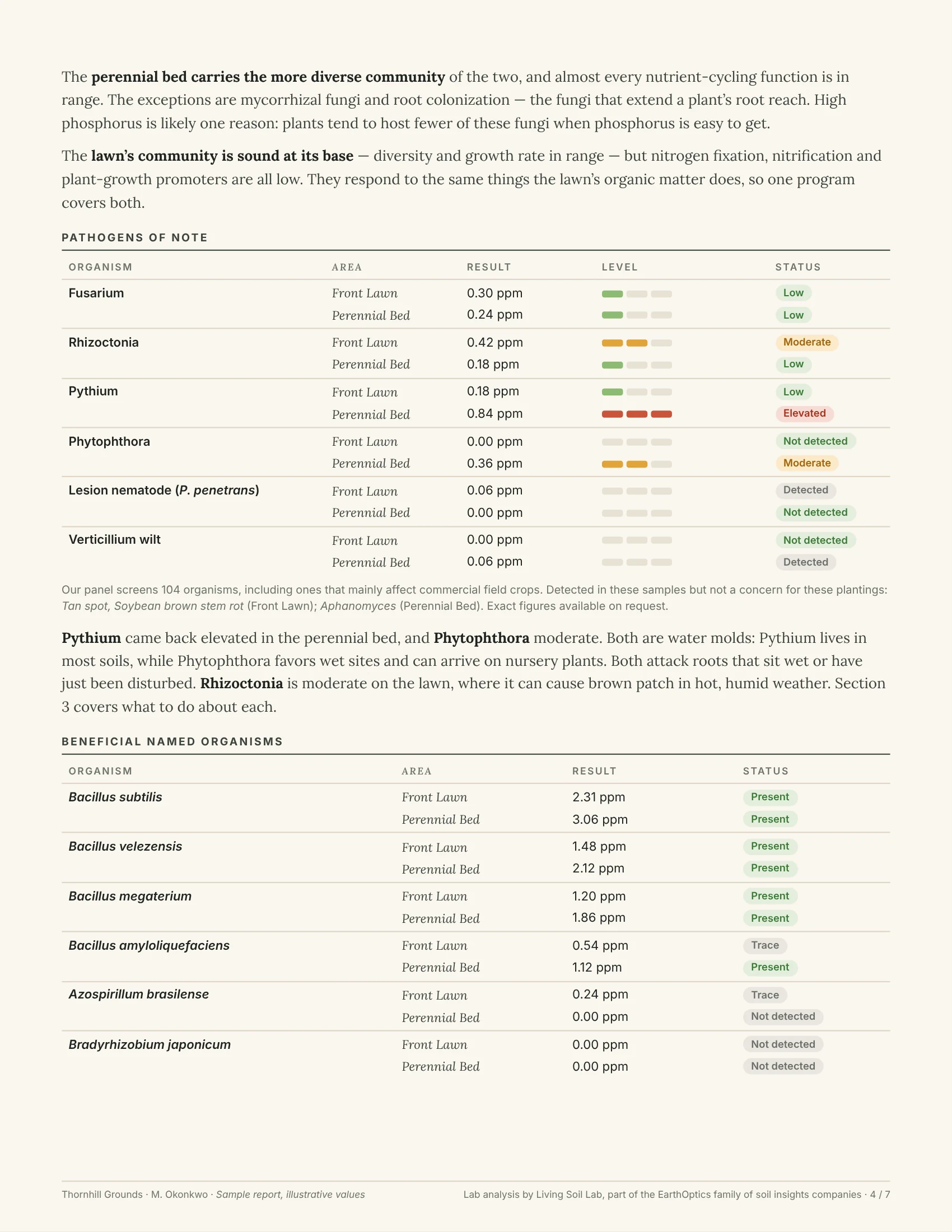 Sample report, page 4 of 7